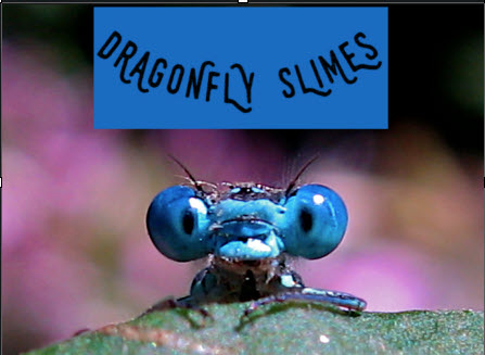 dragonflyslimes.com